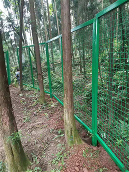 夹江生态环境局集中饮用水源地围栏网建设项目
